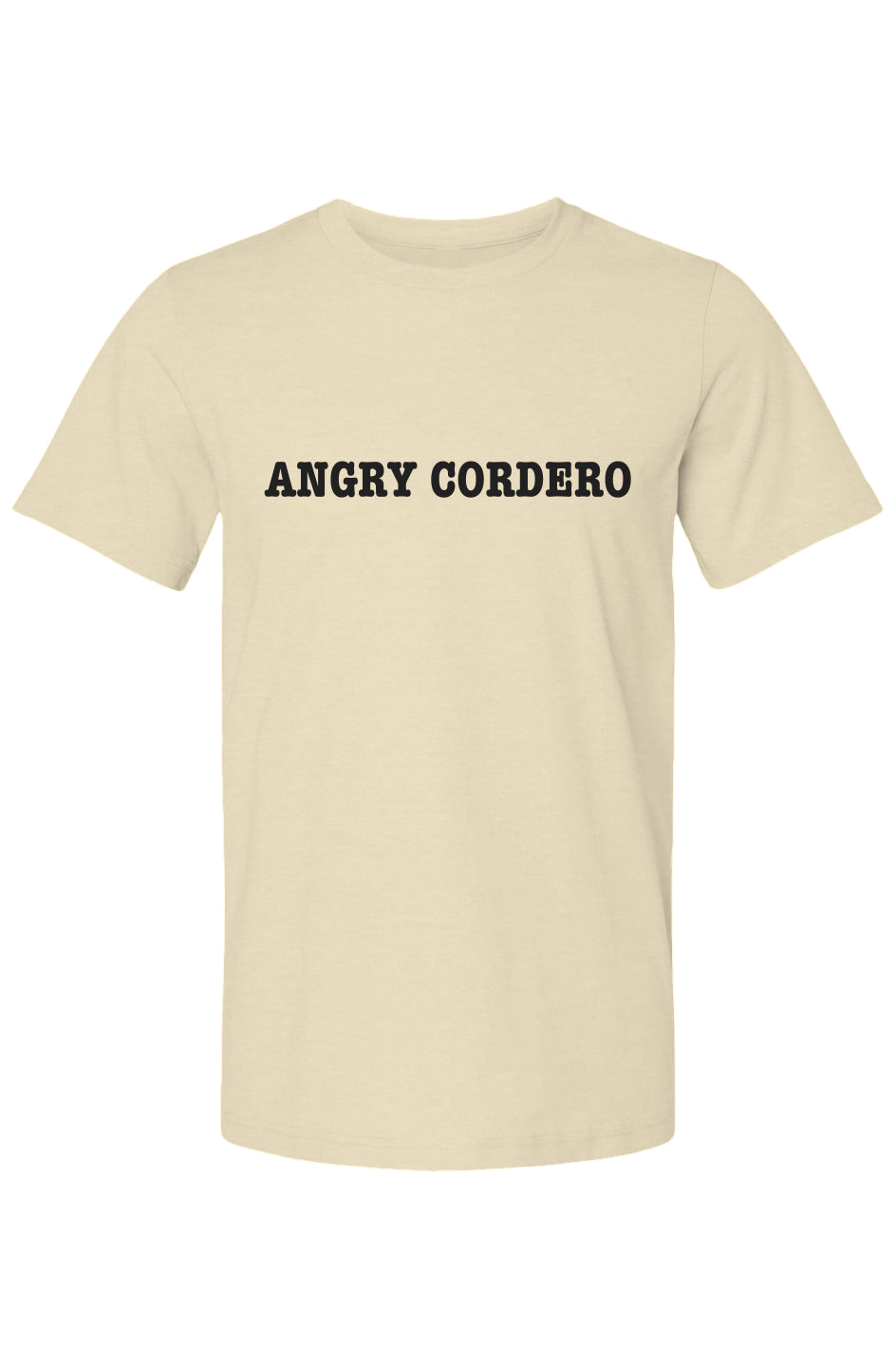 Bella Canvas T Shirt