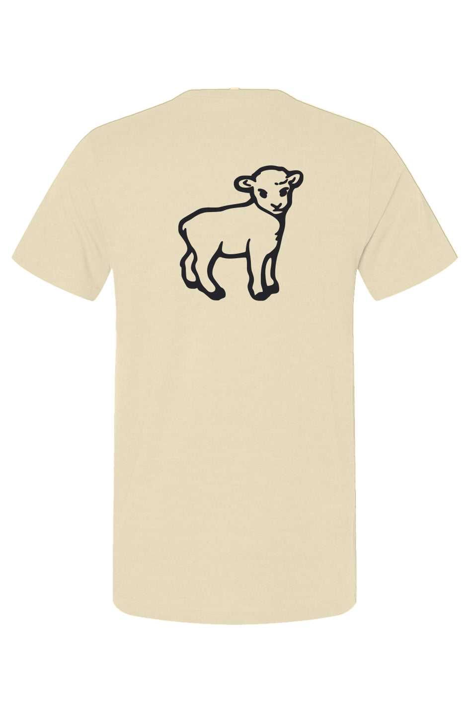 Bella Canvas T Shirt